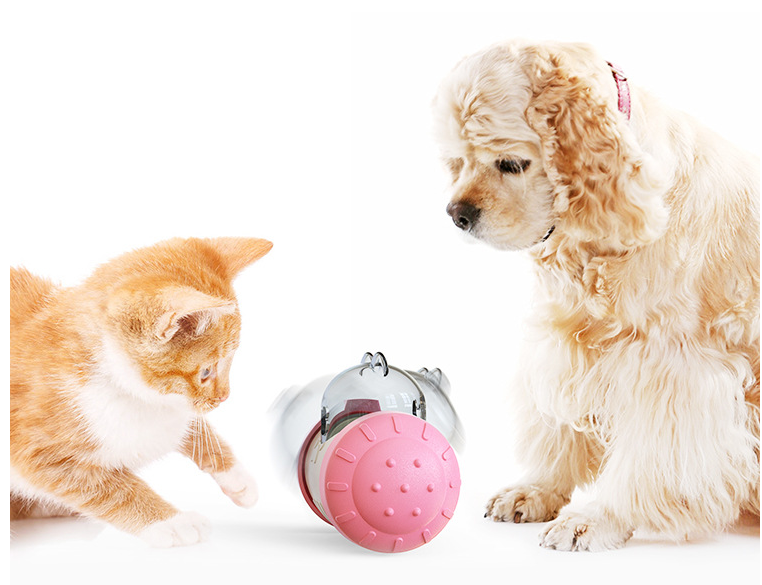 Funny Treat Leaking Wheel  - Interactive Play for Dogs, Puppies, and Cats