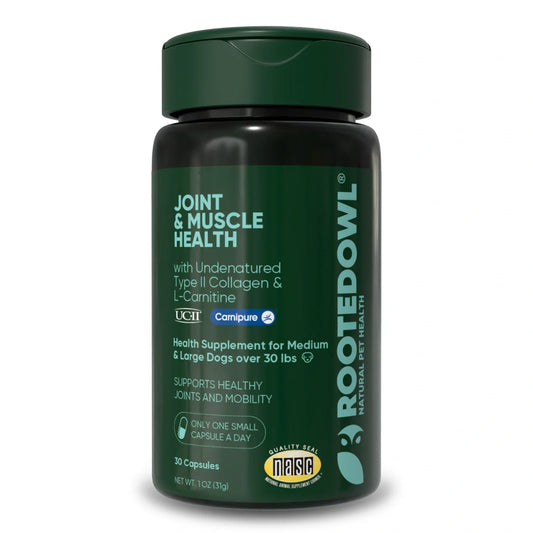Dog Joint Supplement UC-II Collagen Formula Large Breed Mobility Support Clinically Studied Undenatured Type II Collagen L-Carnitine Dual Action Muscle Recovery Daily Wellness Capsule Hip Health Arthritis Relief Senior Dog Care Active Dogs
