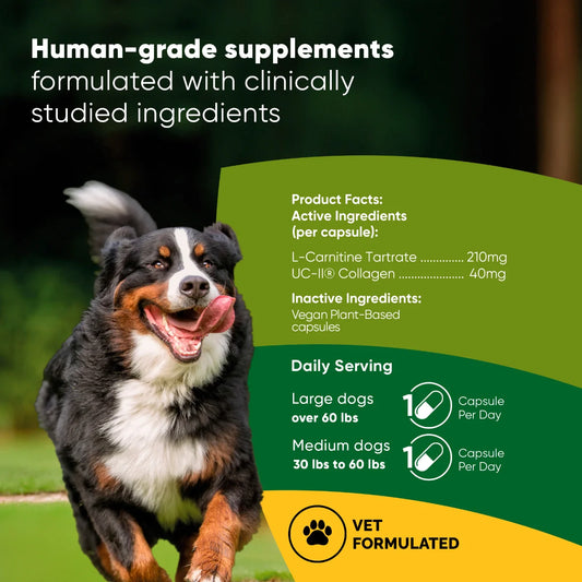 Large Dog Mobility Support UC-II Collagen Joint Supplement Active Dogs Muscle Recovery Formula Clinically Studied Type II Collagen L-Carnitine Daily Wellness Capsule Hip Dysplasia Relief Senior Dog Joint Health Natural Ingredients Premium
