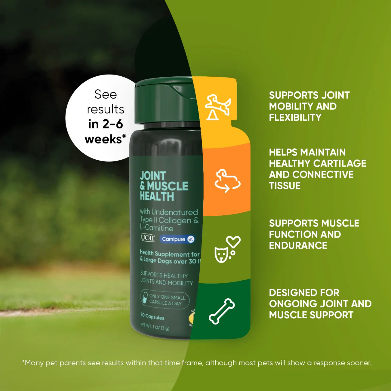 UC-II Undenatured Collagen Dog Supplement Dual Action Joint Health Formula Large Breed Mobility Support L-Carnitine Muscle Recovery Daily Wellness Capsule Senior Dog Care Hip Support Arthritis Relief Active Dogs Natural Ingredients