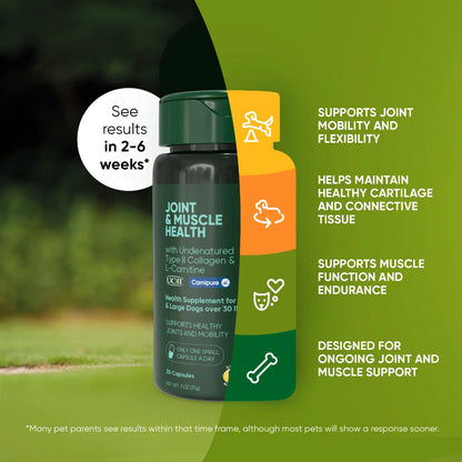UC-II Undenatured Collagen Dog Supplement Dual Action Joint Health Formula Large Breed Mobility Support L-Carnitine Muscle Recovery Daily Wellness Capsule Senior Dog Care Hip Support Arthritis Relief Active Dogs Natural Ingredients