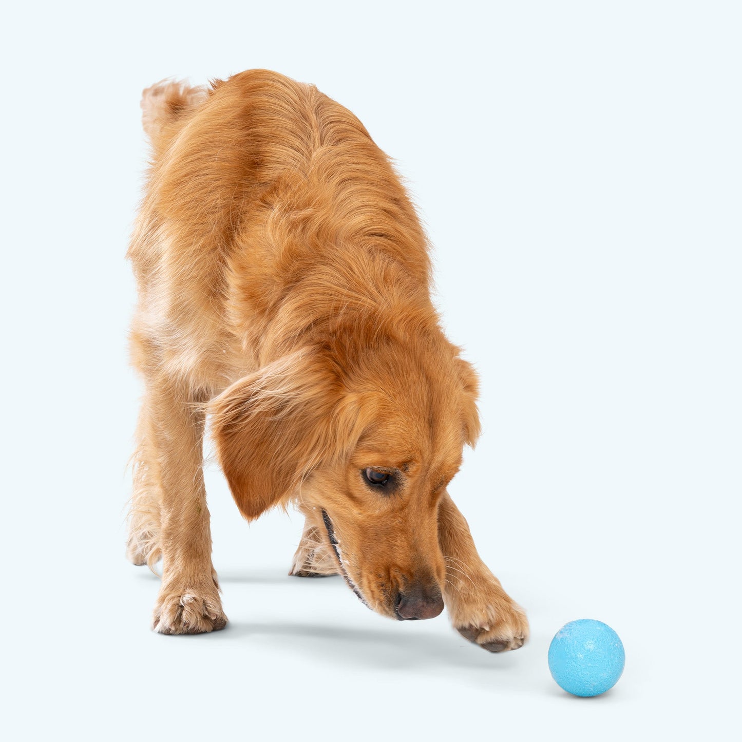 Durable Dog Ball – Tough Chewer Toy That Floats and Fits Launcher