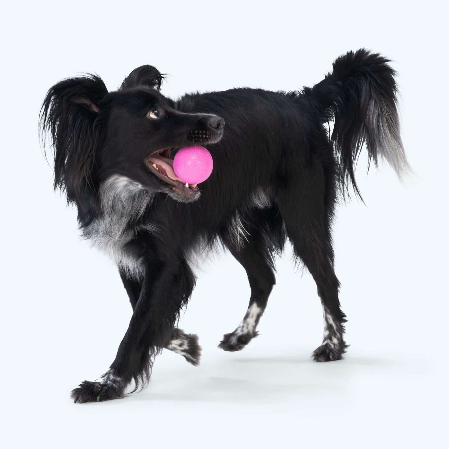 Tough Chewer Dog Toy Durable Ball Active Dogs Perfect Fetch Games Ball Launcher Compatible Standard Size Floating Water Play Toy Hollow Core Design Squishy Texture Safe Alternative Indestructible Construction Outdoor Activities Chomp