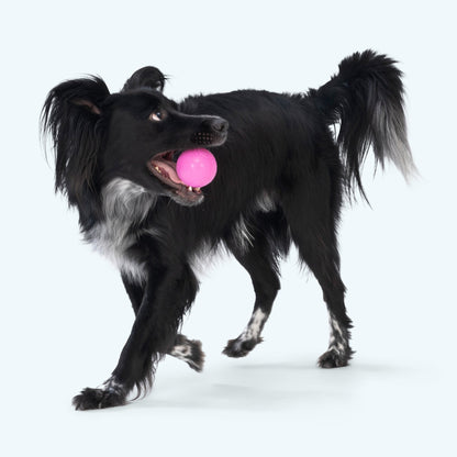 Tough Chewer Dog Toy Durable Ball Active Dogs Perfect Fetch Games Ball Launcher Compatible Standard Size Floating Water Play Toy Hollow Core Design Squishy Texture Safe Alternative Indestructible Construction Outdoor Activities Chomp
