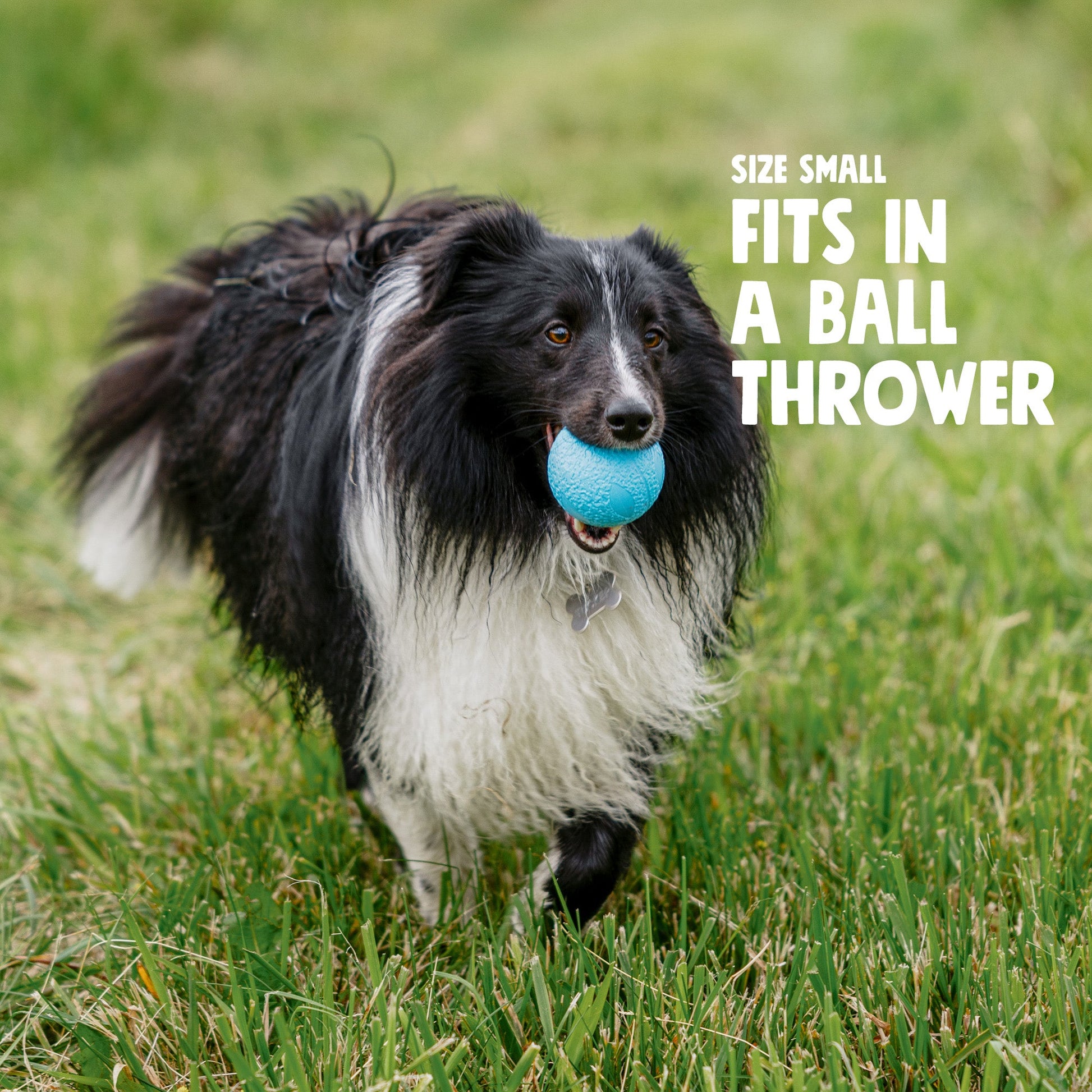 Ball Launcher Compatible Toy Fits Standard Thrower Durable Dog Ball Tough Chewer Design Floating Fetch Games Active Dogs Perfect Outdoor Play Hollow Core Squishy Texture Safe Tennis Ball Alternative Water Play Toy Indestructible