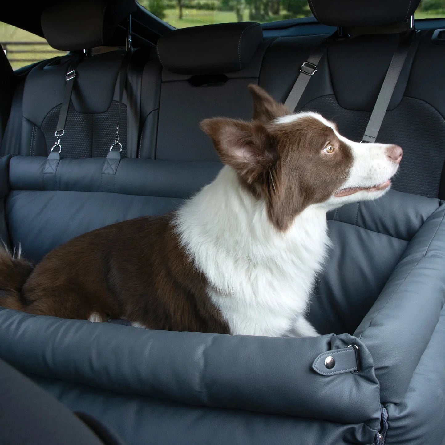 Dog Car Seat Bed – Elevated Padded Luxury Back Seat Travel