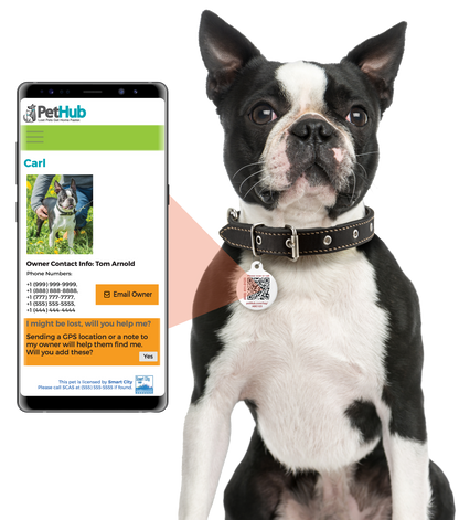 PetHub QR Pet ID Comprehensive ReadyKit – Complete Emergency Kit