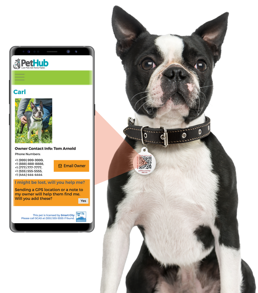 PetHub QR Pet ID Comprehensive ReadyKit – Complete Emergency Kit