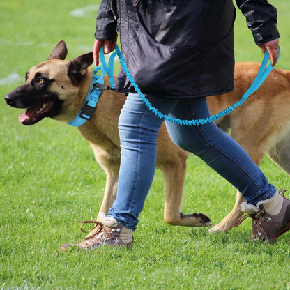 The Tactical Luxe Collar & Leash