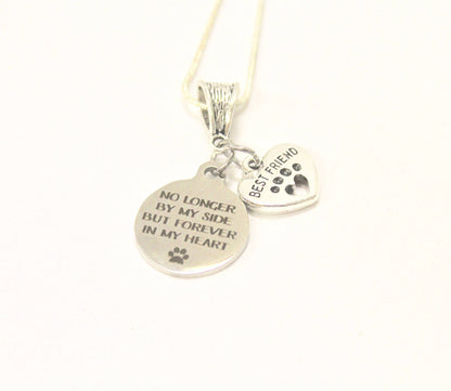 No Longer By My Side But Forever In My Heart Silver Necklace, Loved Pet Memorial Jewelry Gift For Her, Sympathy Pet Remembrance