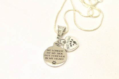 No Longer By My Side But Forever In My Heart Silver Necklace, Loved Pet Memorial Jewelry Gift For Her, Sympathy Pet Remembrance